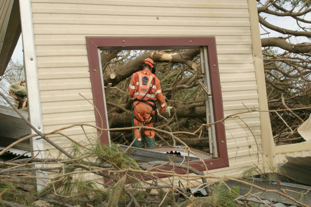 Best Arborist Consultation Services  in Columbus, MN